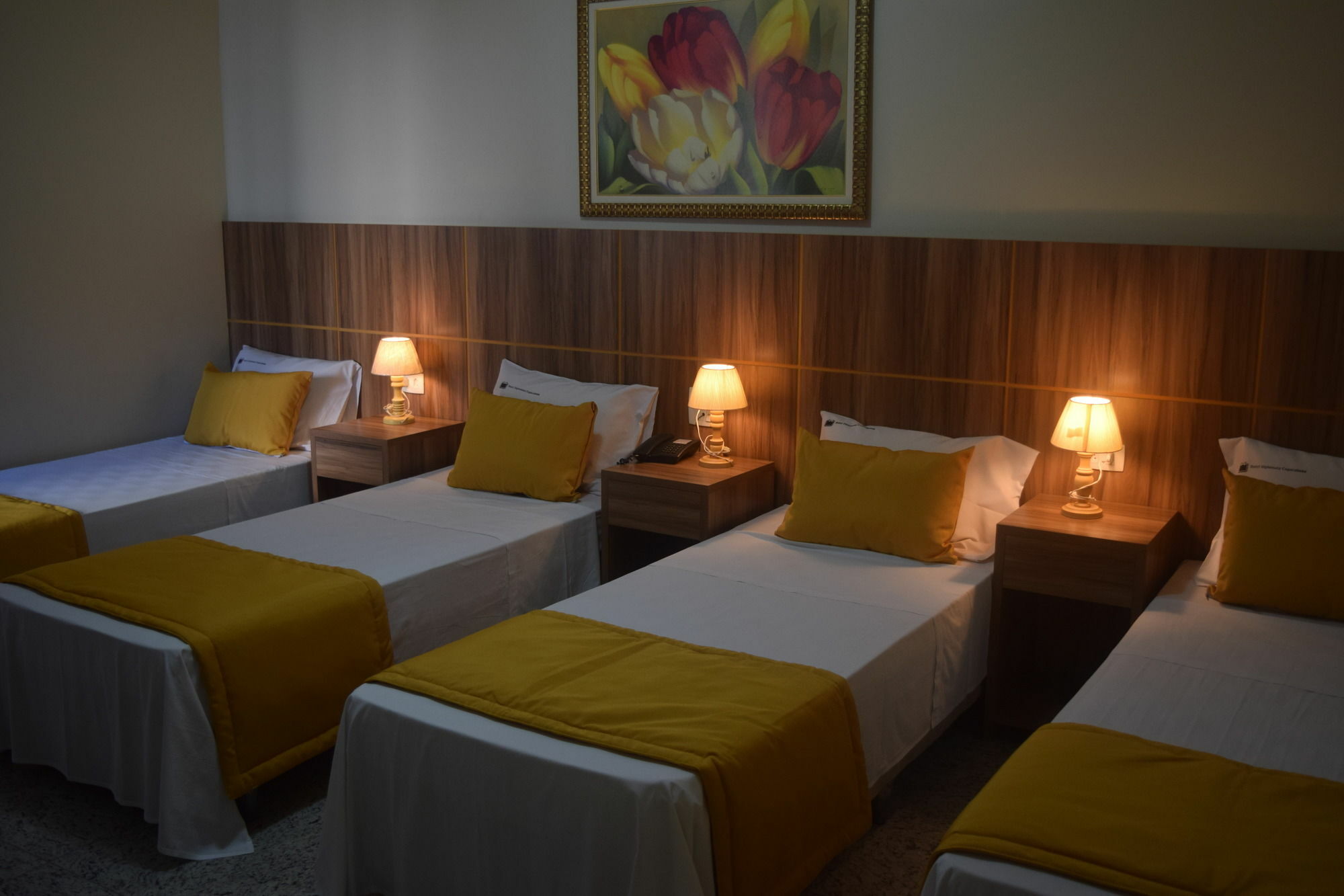 Hotel Diplomata Copacabana Ρίο ντε Τζανέιρο Εξωτερικό φωτογραφία